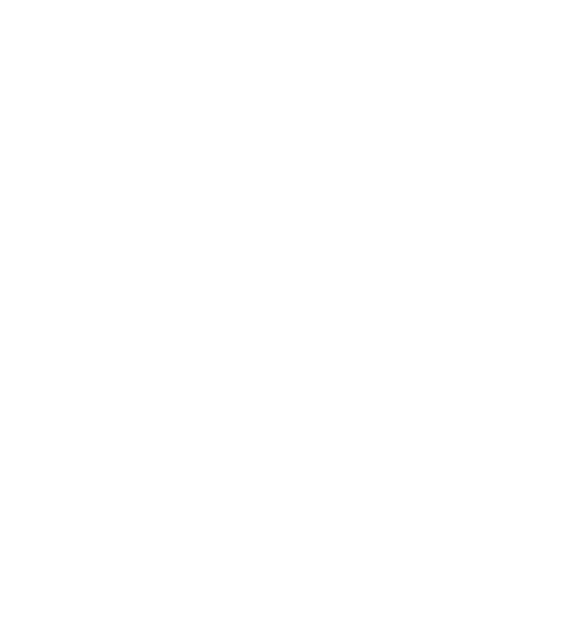 Belem65 logo white